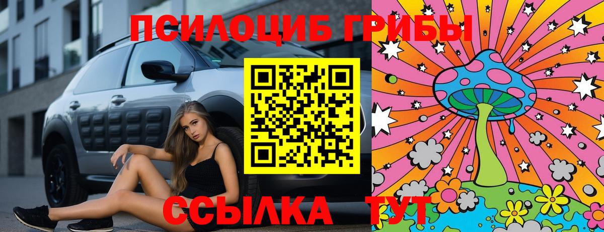 сколько стоит  Вход с VPN  Саяногорск  Галлюциногенные грибы Psilocybine cubensis 